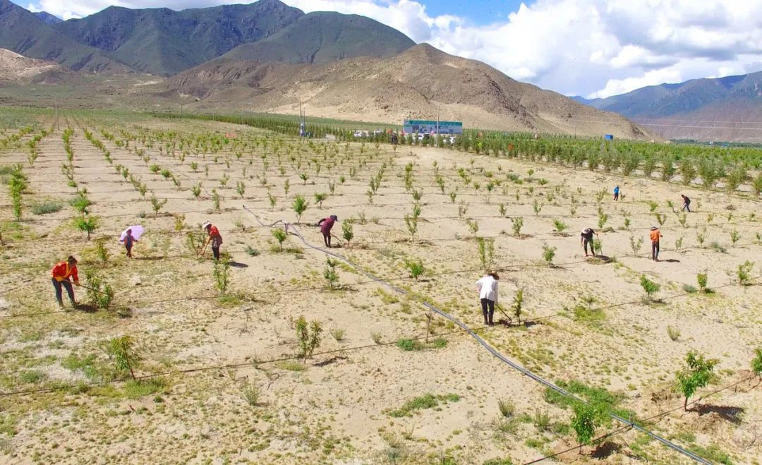 产业扶贫基金参与投资的亿利生态西藏山南生态修复项目