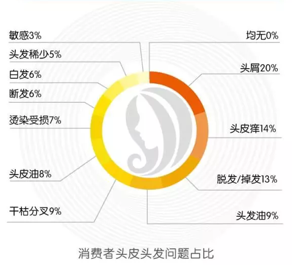 头皮护理方法论：防脱护发必须从“头”做起|头皮护理