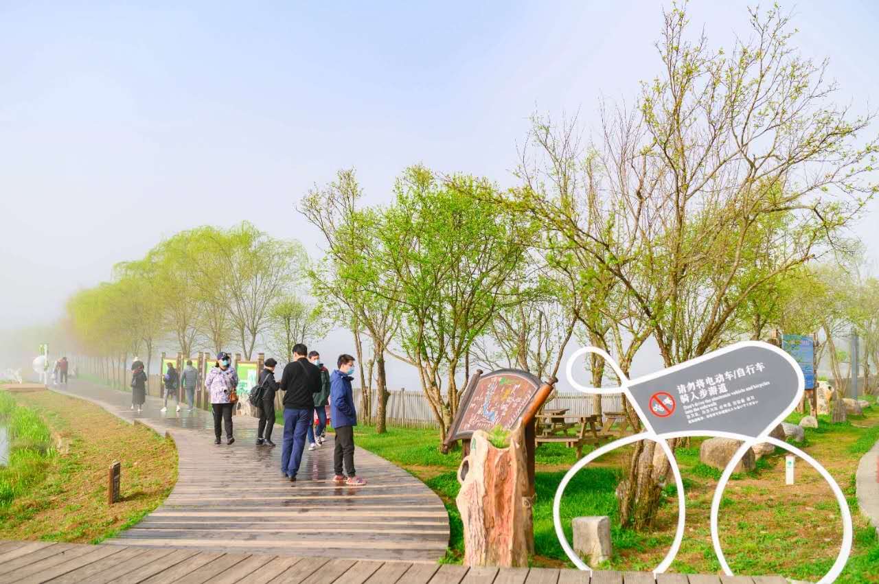 旅客闲步在神农架大九湖景区步道。图/资料图片