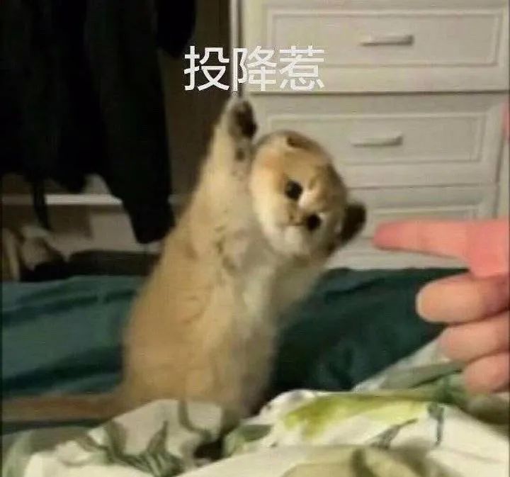 【名嘴手一滑】康建翊:一组猛男必备表情包送给大家