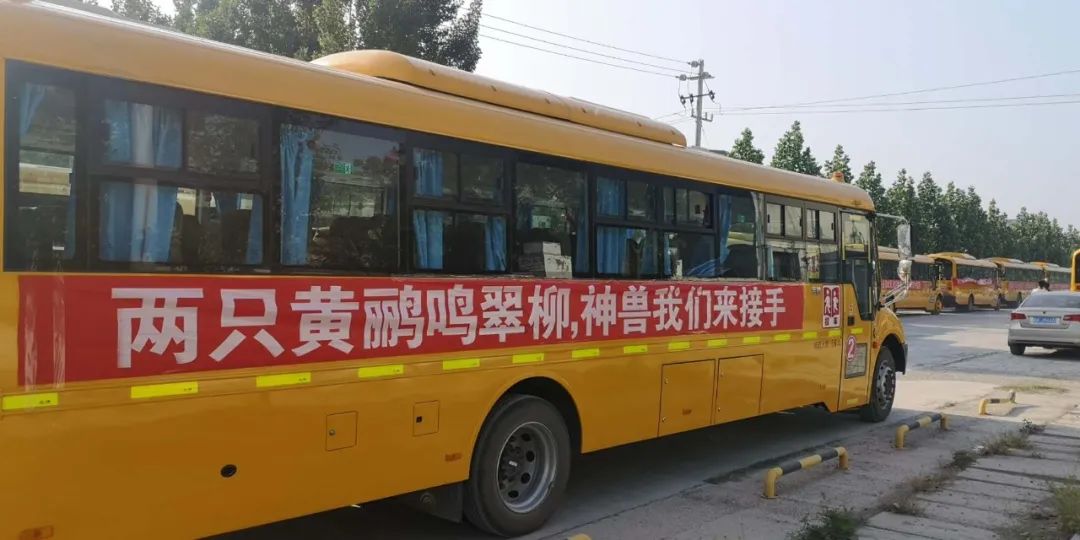 神兽归山!开封小学生今起返校