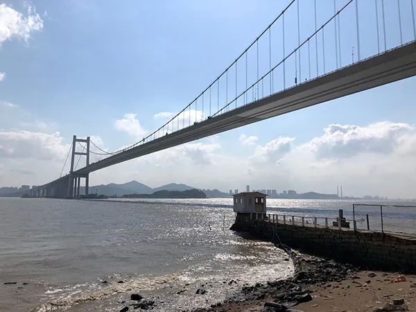 如何让有点"飘"的虎门大桥“定”下来?专家