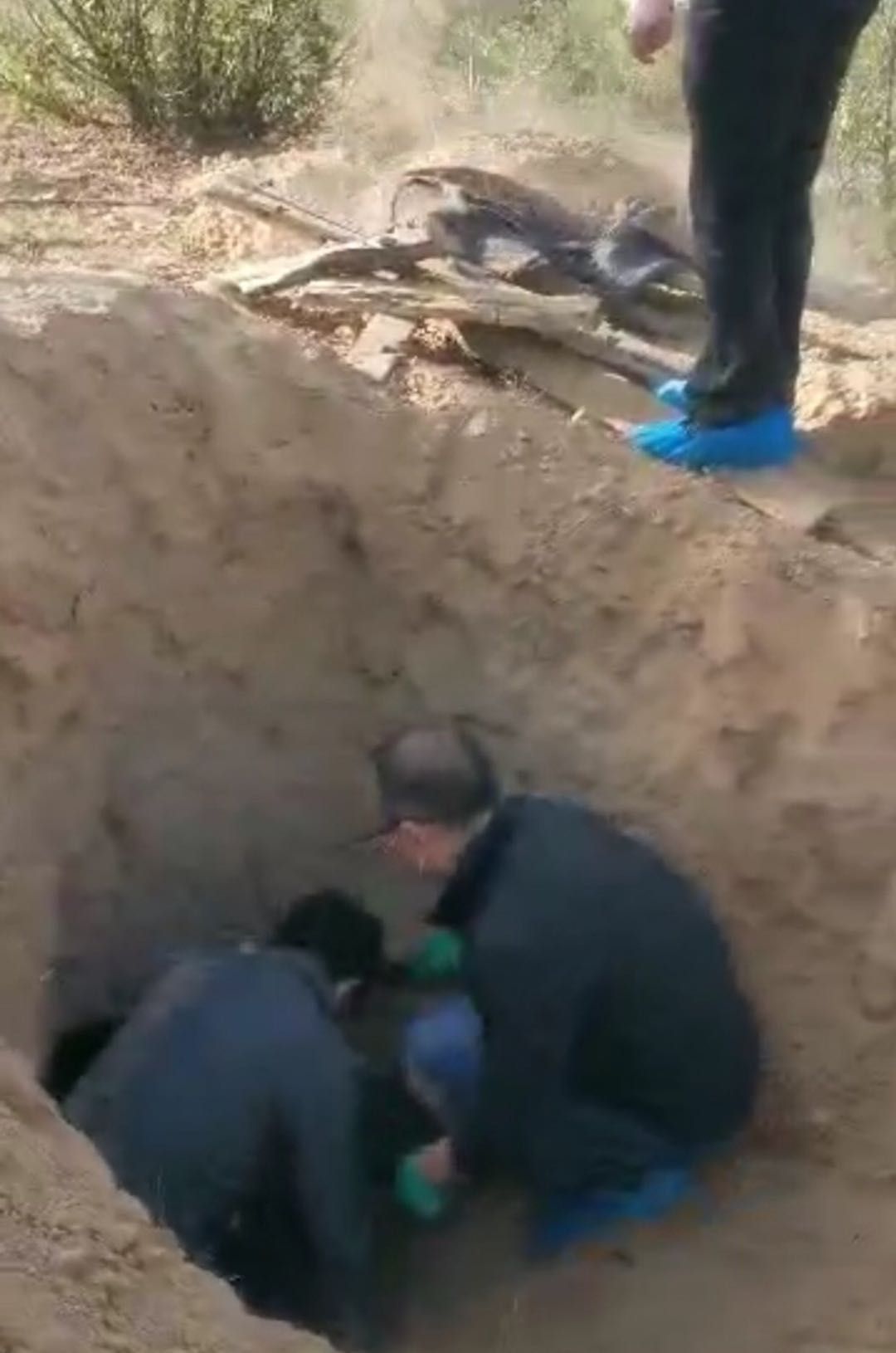 民警将老人从坑中救出，视频截图