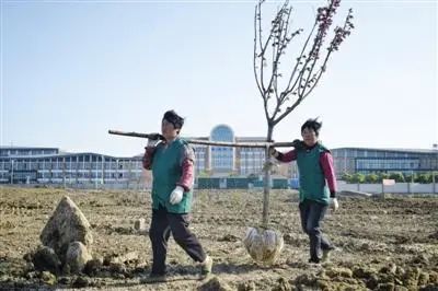 ▲2016年4月19日,常州外国语学校对面空地上,园林工人正在种树。因多名学生体检指标异常,家长认为此处即为污染源。新京报记者 王嘉宁 摄