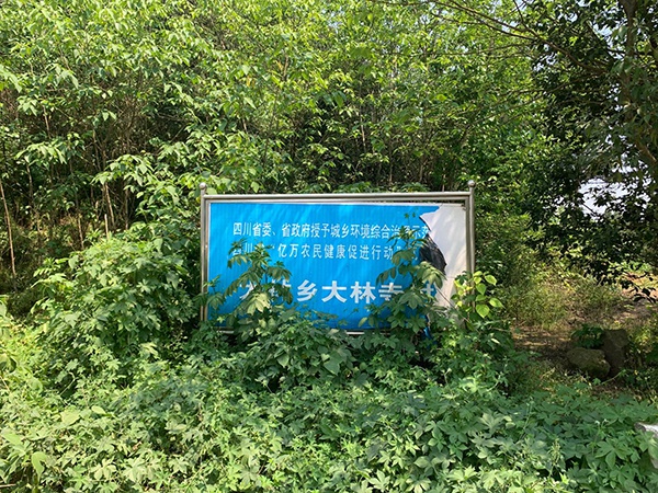 南充顺庆区大林镇以前为大林乡。澎湃新闻记者 庄岸 摄