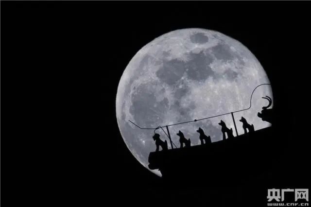 2019年1月21日晚,"超级月亮"登陆天幕.图片来源:央广网,张佳琪摄.