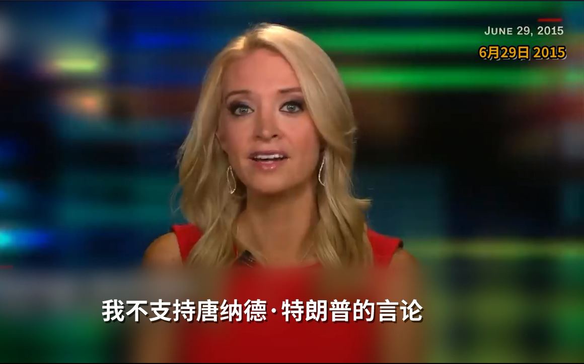 麦肯尼2015年接受CNN采访 视频截图