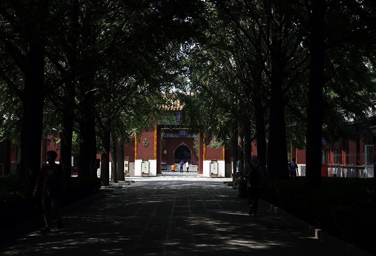 雍和宫恢复开放-WordPress极简博客