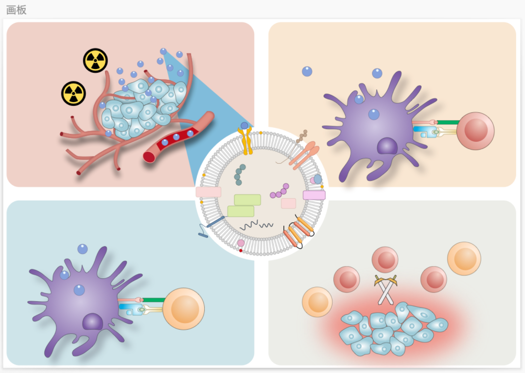 sketch科研绘图-抗肿瘤免疫5