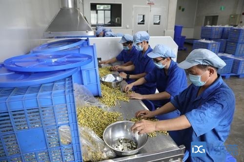 记者走访 东莞国药中药饮片厂:把住"三道关口,守护药品安全