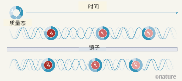 打破物质与反物质的镜像对称性:轻子或存在对称性破缺
