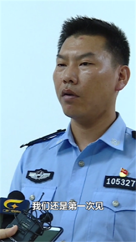 团伙盗窃后还开"庆功宴"? 小偷：我们要交流经验