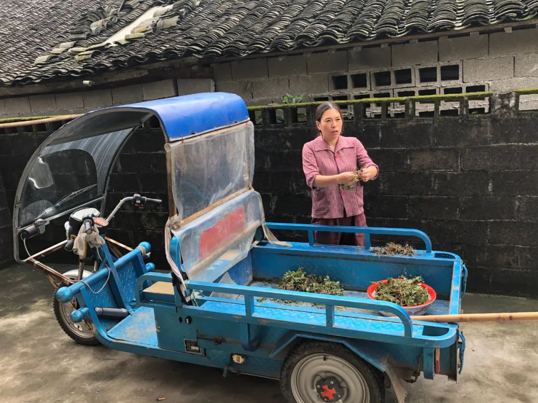 彭小英经常去村里挖一些野菜回家，在餐桌上炒着吃。新京报记者杜雯雯 摄