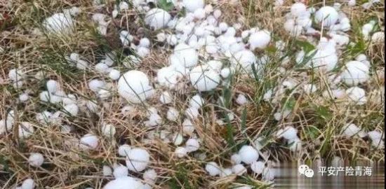 平安产险青海分公司快速应对果洛州冰雹灾害