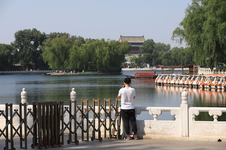 荷花市场南口,一位夫君在伸缩门外摄影。