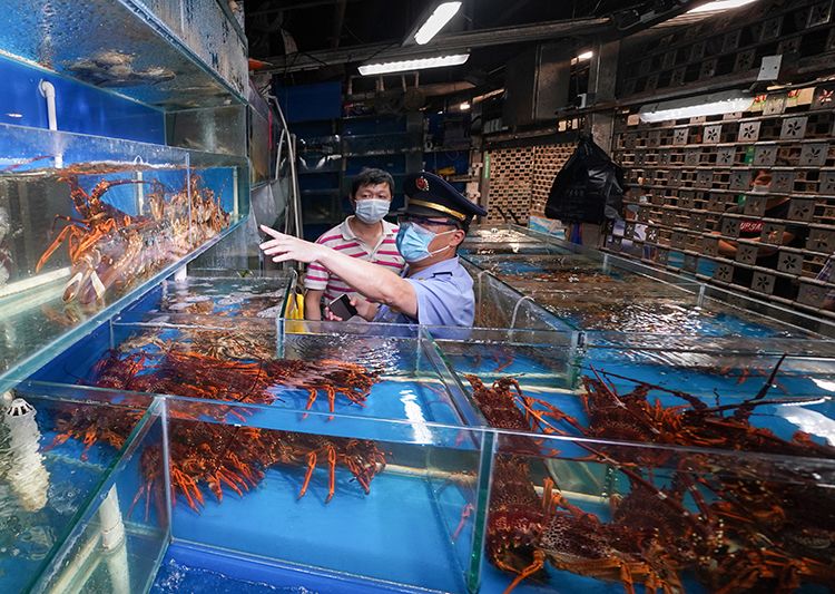 在海鲜水产大厅一家摊位前,市场监管局工作人员检查商户经营环境、食品质量等。