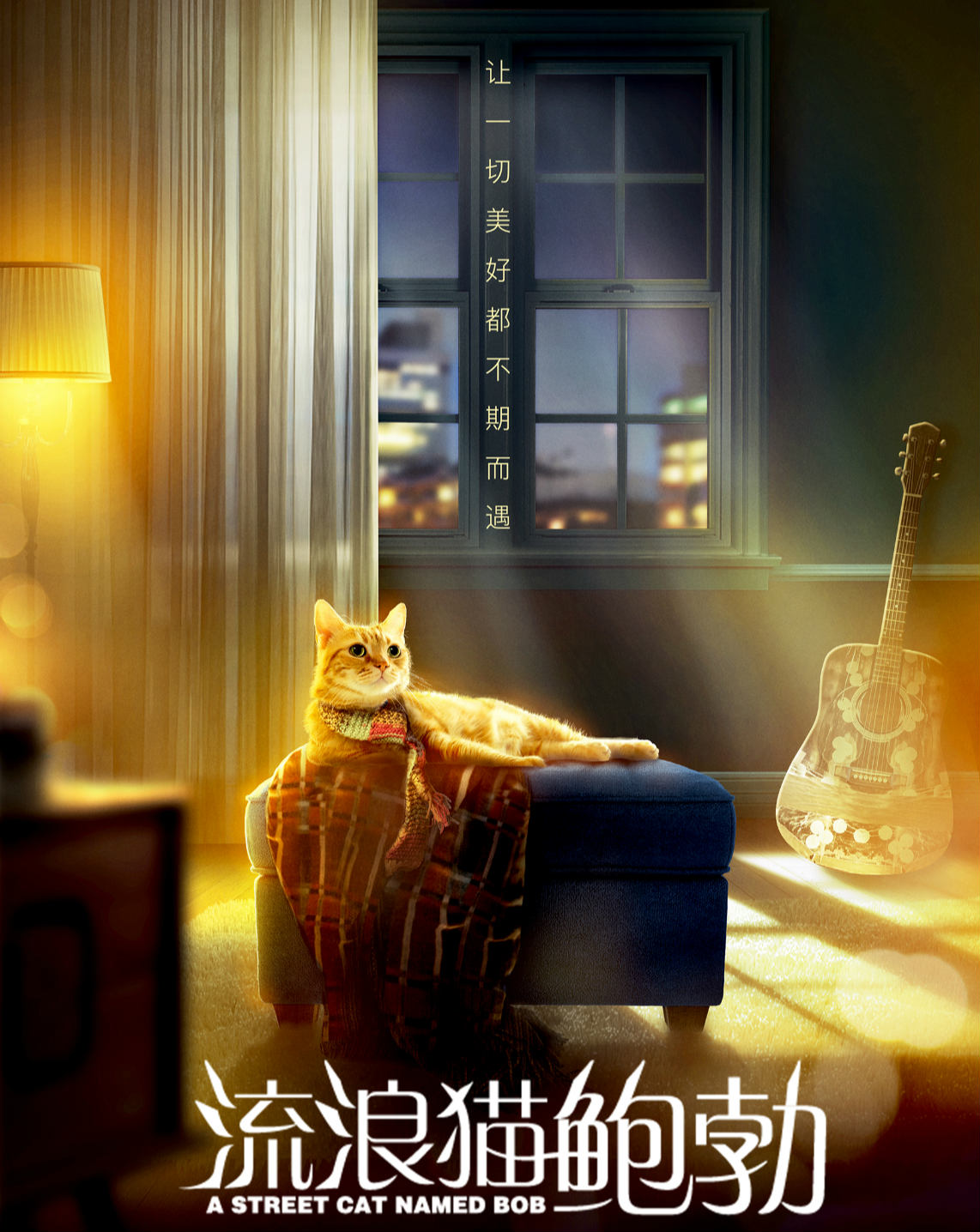 《流浪猫鲍勃》中猫本尊去世 导演说它是天生的