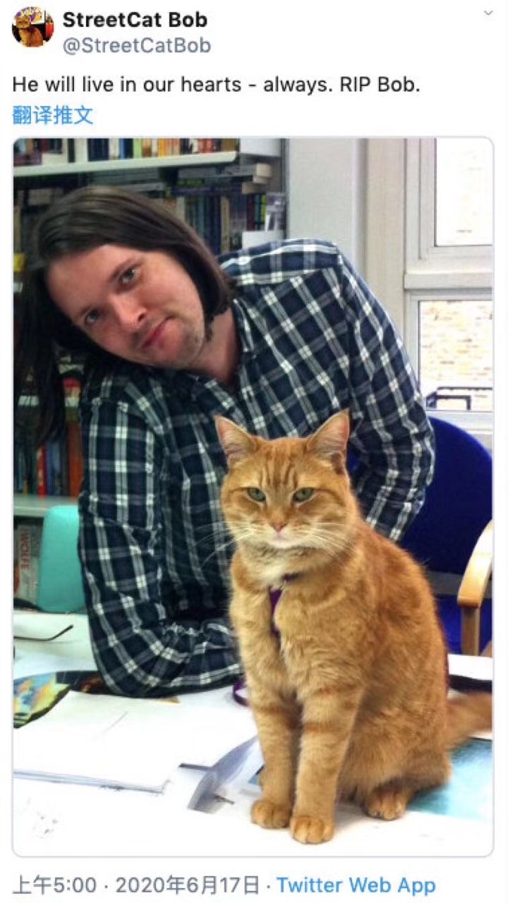 《流浪猫鲍勃》中猫本尊去世 导演说它是天生的