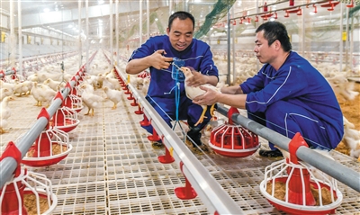 衡水有多少人口_英语衡水体字帖图片(3)