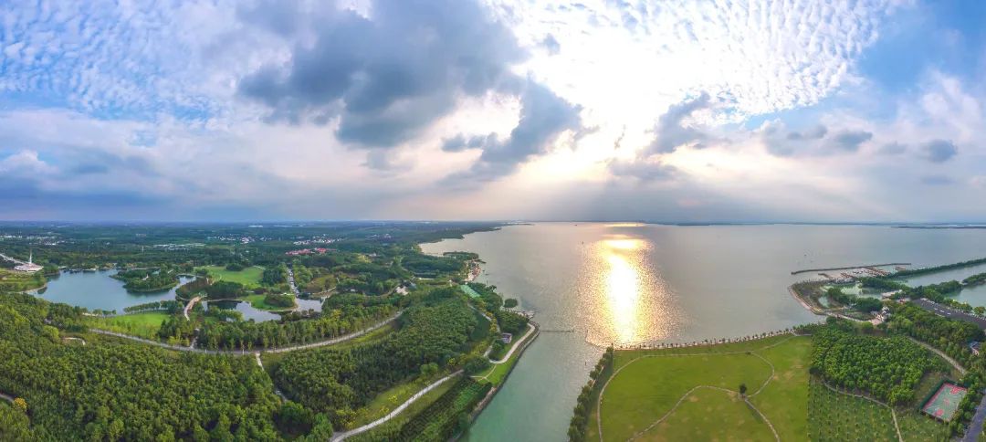 期待!上海这里将崛起世界级生态湖区