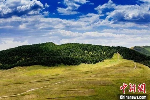 山西省吕梁市离石区西华镇草原。 山西省林业和草原局供图