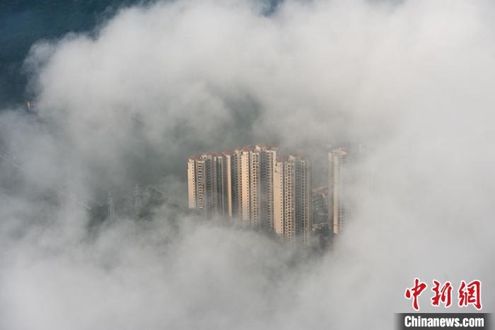 平流雾笼罩,梧州城宛如梦幻仙境。 何华文 摄