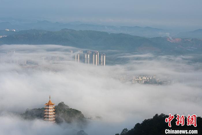 梧州城被平流雾笼罩,楼房若隐若现。 何华文 摄