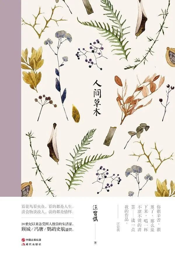 书香 | 今日好书推荐《人间草木》