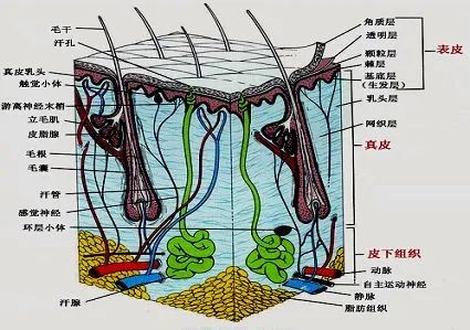 痣也可能癌变?赶紧看看,身上有这些痣要小心了!