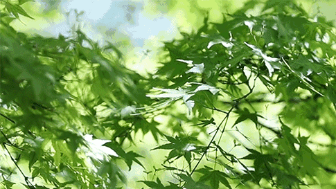 一天2毛6,就能吹到800平高尔夫别墅大宅才有的凉爽风