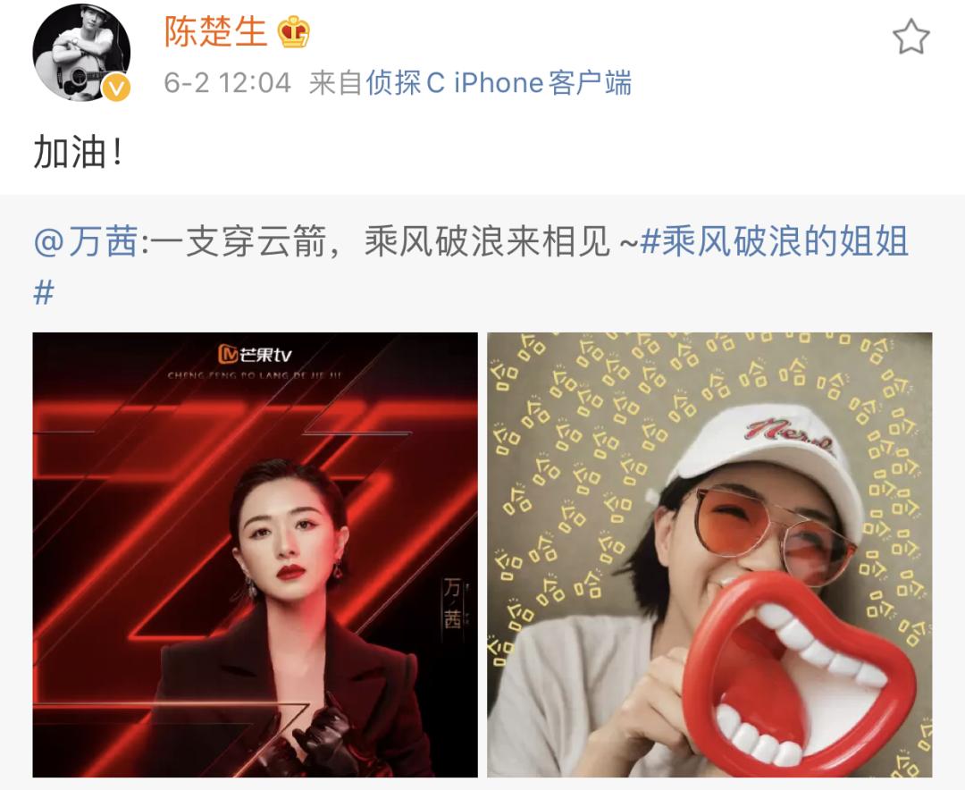 万茜：为什么半个娱乐圈都为她应援？