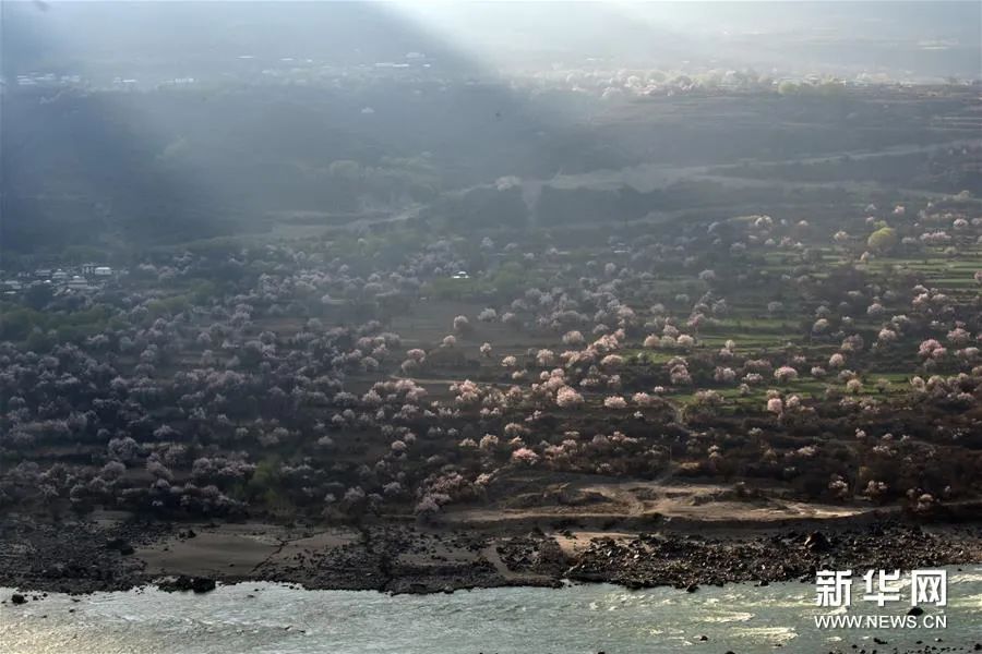 抵制中国产品？印度国内这种噪音令人无语