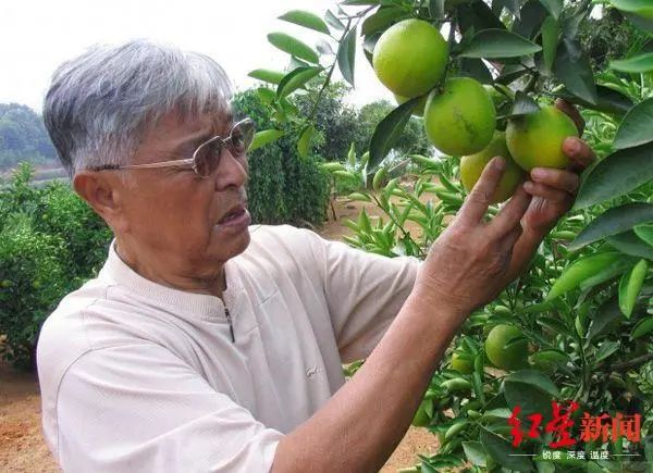 褚橙新掌门谈失去父亲的一年:家族内斗不存在