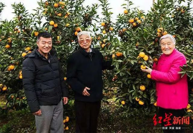 褚橙新掌门谈失去父亲的一年:家族内斗不存在