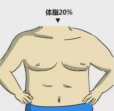 男女体脂对照图,看看你是哪一种?