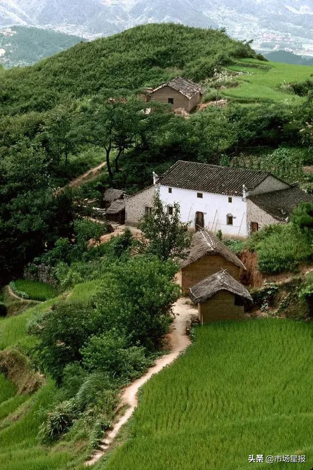 原名:farm, jiuhuashan, anhui, china, 1981注释:九华山下田园与