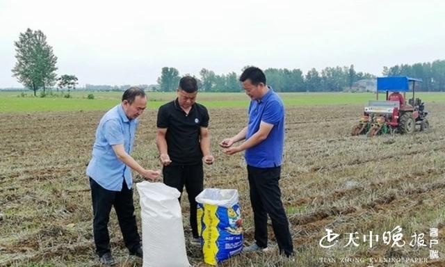 央视多频道重点栏目报导上蔡县夏播工作