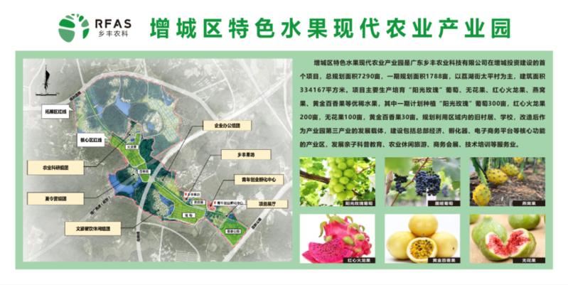喜讯增城2家现代农业产业园上榜省级名单