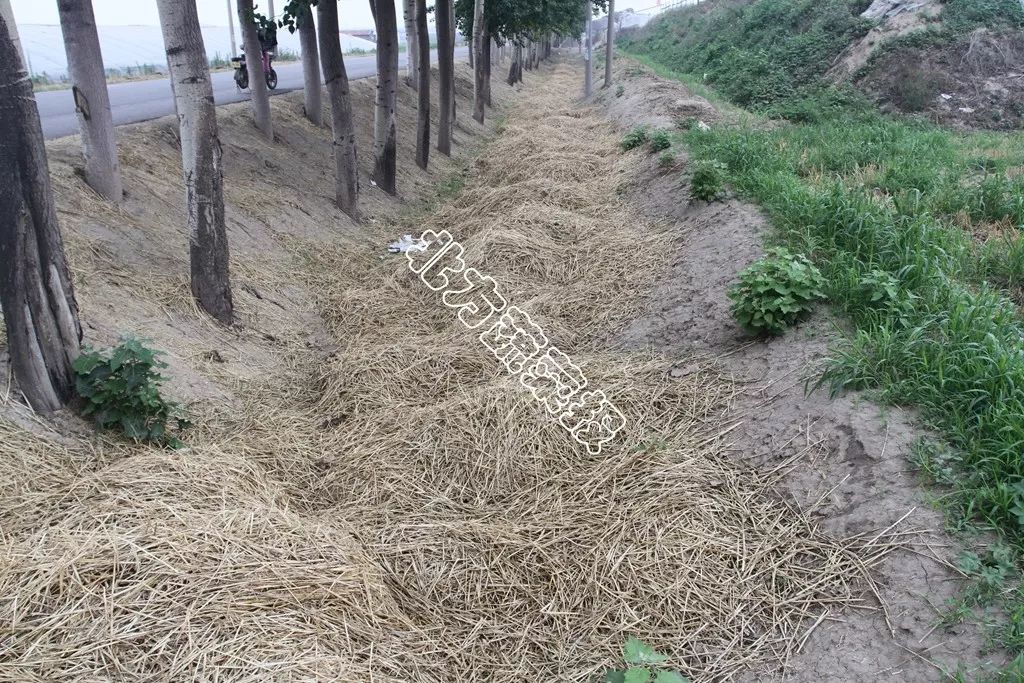 Ѵڌ | Ҫc(din)@ (zhn)