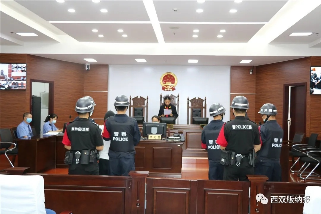  “西双版纳报”微信公号 图