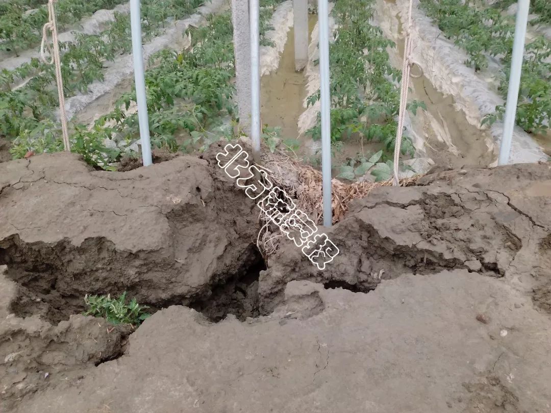 Ѵڌ | Ҫc(din)@ (zhn)