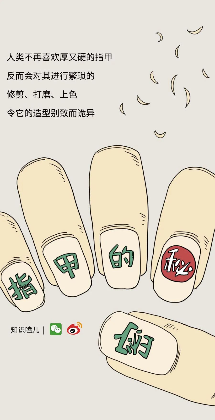 指甲盖儿上有多少秘密