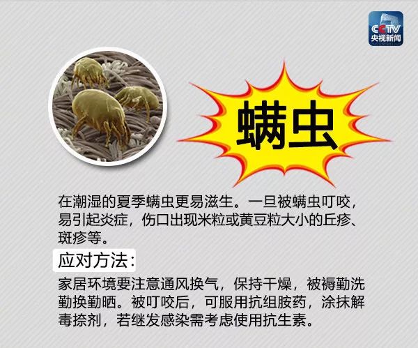 饭后散步被虫子咬一口,阿婆紧急送进ICU!遇到这些虫子千万要小心