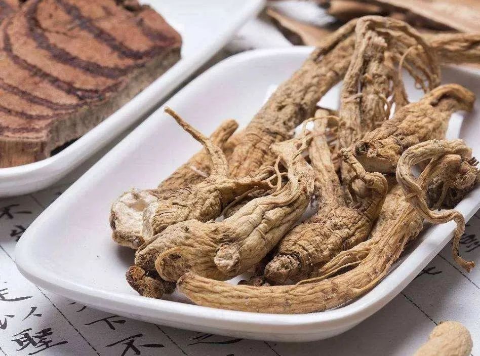 预告 |《丝路大讲堂》——甘肃中医药大学附属医院副院长张志明:抗击疫情,中医在行动