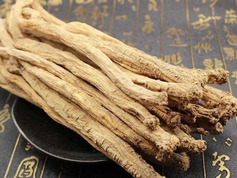 预告 |《丝路大讲堂》——甘肃中医药大学附属医院副院长张志明:抗击疫情,中医在行动