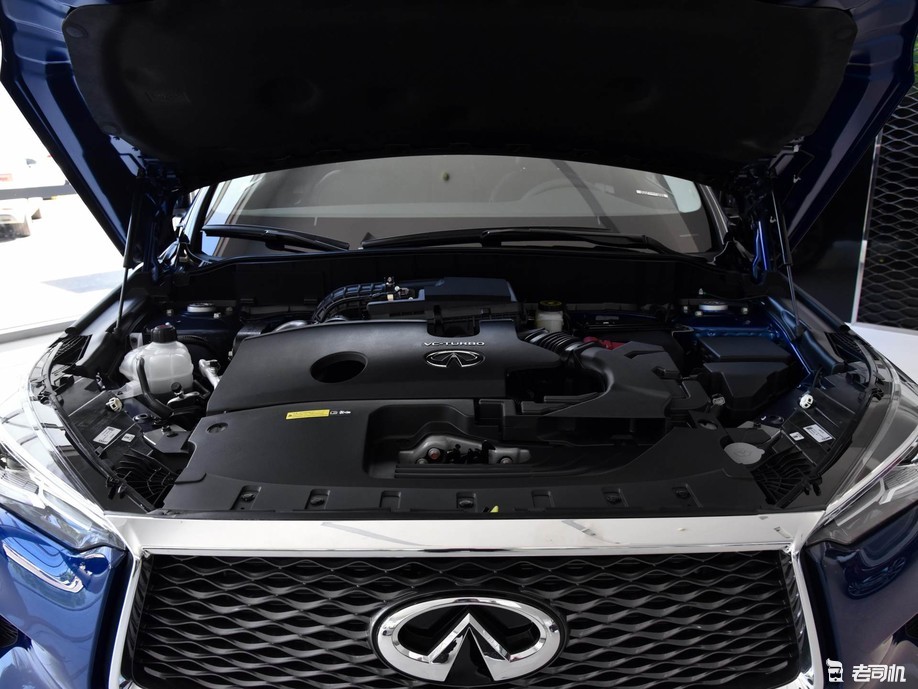 腹背受敌的它该用什么样的方式来突出重围呢?