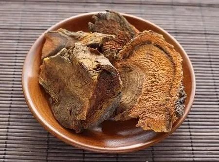 预告 |《丝路大讲堂》——甘肃中医药大学附属医院副院长张志明:抗击疫情,中医在行动