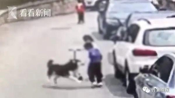 哈士奇突然扑向三个孩子,妈妈用身体去挡也被咬伤!狗主人就站在一旁……休闲区蓝鸢梦想 - Www.slyday.coM 哈士奇突然扑向三个孩子,妈妈用身体去挡也被咬伤!狗主人就站在一旁……休闲区蓝鸢梦想 - Www.slyday.coM