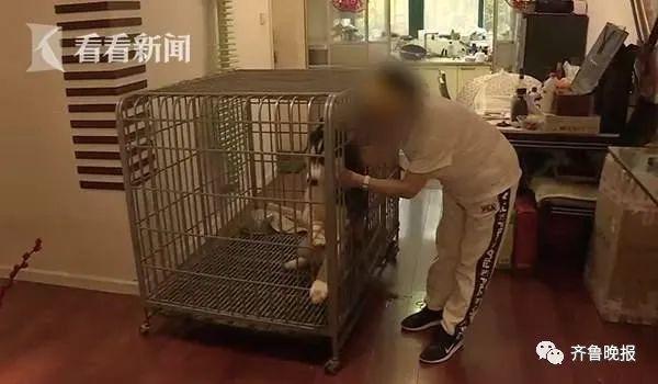 哈士奇突然扑向三个孩子,妈妈用身体去挡也被咬伤!狗主人就站在一旁……休闲区蓝鸢梦想 - Www.slyday.coM 哈士奇突然扑向三个孩子,妈妈用身体去挡也被咬伤!狗主人就站在一旁……休闲区蓝鸢梦想 - Www.slyday.coM