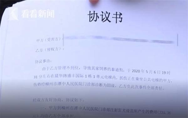 哈士奇突然扑向三个孩子,妈妈用身体去挡也被咬伤!狗主人就站在一旁……休闲区蓝鸢梦想 - Www.slyday.coM 哈士奇突然扑向三个孩子,妈妈用身体去挡也被咬伤!狗主人就站在一旁……休闲区蓝鸢梦想 - Www.slyday.coM